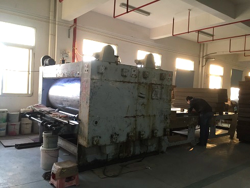 《一口气看完偷渡的女人》午夜高清完整版5