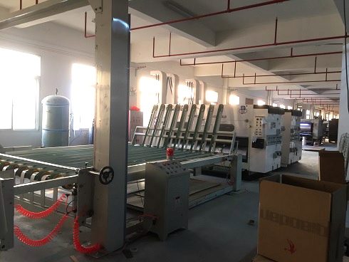 《一口气看完偷渡的女人》午夜高清完整版2